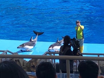 名古屋港水族館に投稿された画像（2021/10/2）