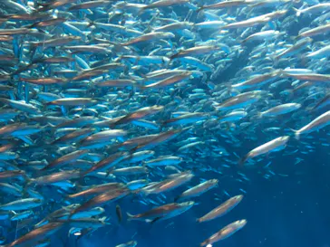 名古屋港水族館に投稿された画像（2021/10/2）