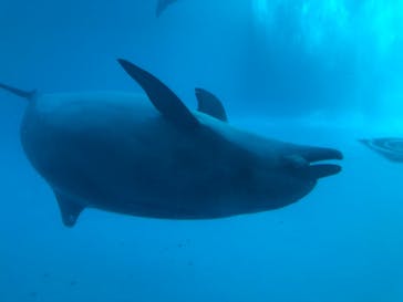 名古屋港水族館に投稿された画像（2021/10/2）