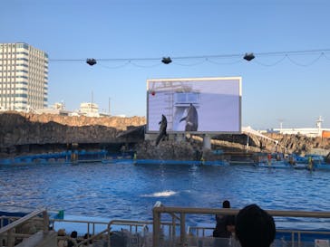 名古屋港水族館に投稿された画像（2021/10/2）