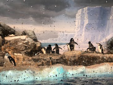 名古屋港水族館に投稿された画像（2021/10/2）