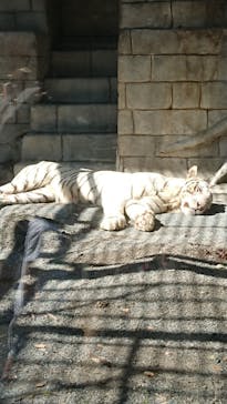 東武動物公園に投稿された画像（2021/10/2）