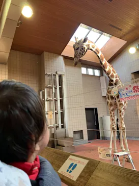 天王寺動物園に投稿された画像（2021/10/2）