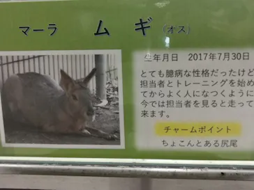 天王寺動物園に投稿された画像（2021/10/2）