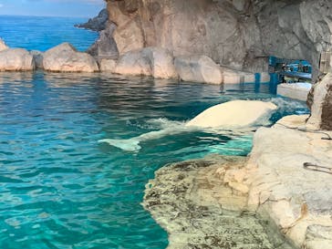 名古屋港水族館に投稿された画像（2021/10/2）