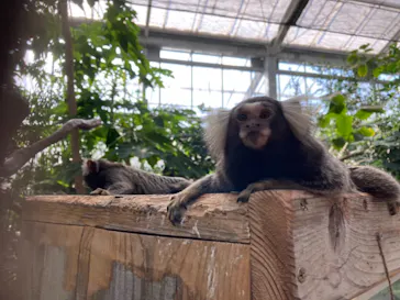 神戸どうぶつ王国に投稿された画像（2021/10/2）