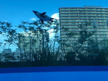 サンシャイン水族館に投稿された画像（2021/10/2）