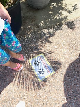 沖縄こどもの国に投稿された画像（2021/10/2）