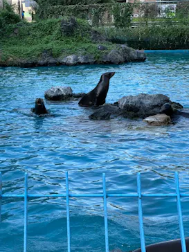 天王寺動物園に投稿された画像（2021/10/2）