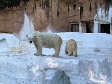 天王寺動物園に投稿された画像（2021/10/2）