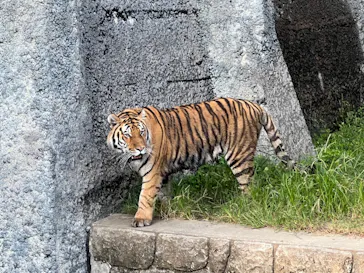天王寺動物園に投稿された画像（2021/10/2）