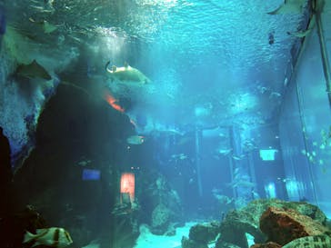 マリンワールド海の中道に投稿された画像（2021/10/2）