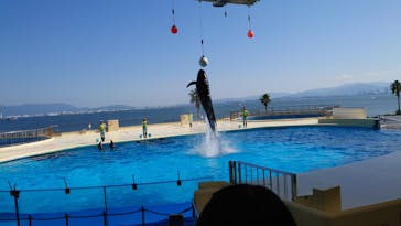 マリンワールド海の中道に投稿された画像（2021/10/2）