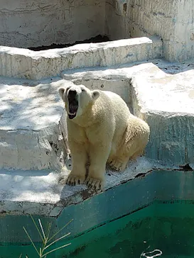 天王寺動物園に投稿された画像（2021/10/2）
