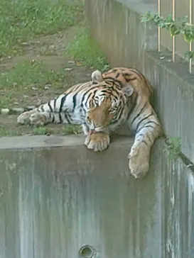 天王寺動物園に投稿された画像（2021/10/2）