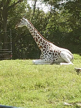 天王寺動物園に投稿された画像（2021/10/2）