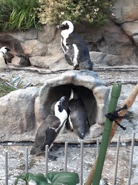 サンシャイン水族館に投稿された画像（2021/10/2）