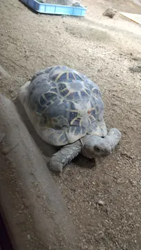 天王寺動物園に投稿された画像（2021/10/2）