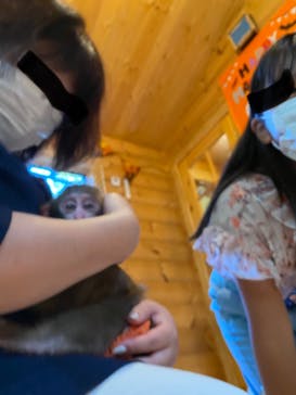 おさるランド＆アニタウン　日光さる軍団劇場に投稿された画像（2021/10/2）