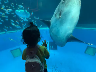 横浜・八景島シーパラダイスに投稿された画像（2021/10/2）