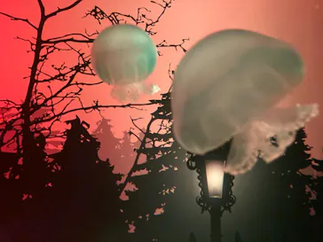 すみだ水族館に投稿された画像（2021/10/2）