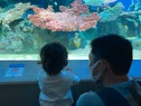 しながわ水族館に投稿された画像（2021/10/2）