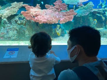 しながわ水族館に投稿された画像（2021/10/2）