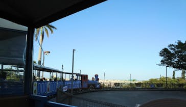 沖縄こどもの国に投稿された画像（2021/10/2）