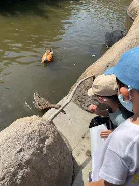 神戸どうぶつ王国に投稿された画像（2021/10/2）