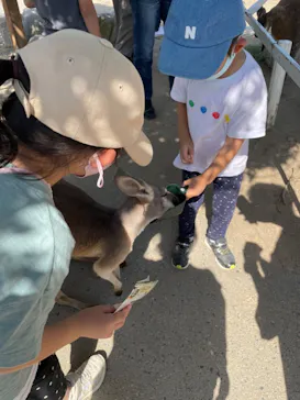 神戸どうぶつ王国に投稿された画像（2021/10/2）