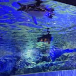すみだ水族館に投稿された画像（2021/10/3）