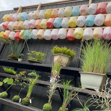 おふろcafé 白寿の湯に投稿された画像（2021/10/3）