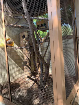 天王寺動物園に投稿された画像（2021/10/3）