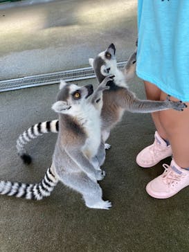 岩手サファリパークに投稿された画像（2021/10/3）