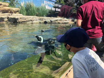 神戸どうぶつ王国に投稿された画像（2021/10/3）