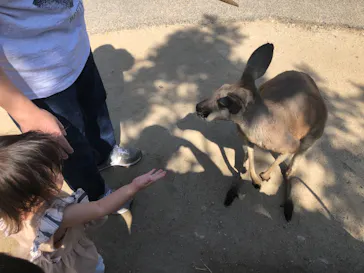 神戸どうぶつ王国に投稿された画像（2021/10/3）
