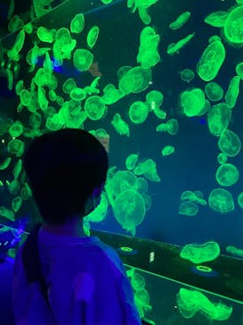 名古屋港水族館に投稿された画像（2021/10/3）