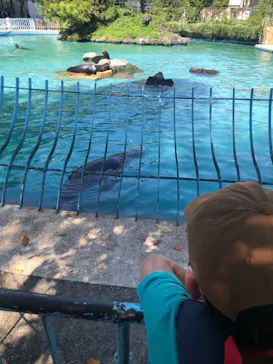 天王寺動物園に投稿された画像（2021/10/3）