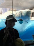 名古屋港水族館に投稿された画像（2021/10/3）