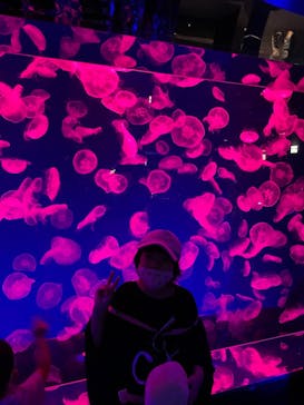 名古屋港水族館に投稿された画像（2021/10/3）