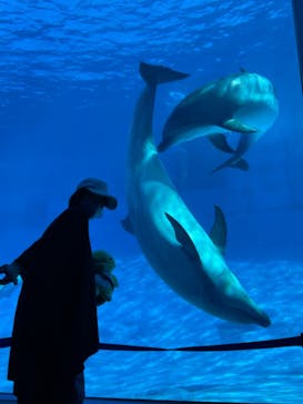 名古屋港水族館に投稿された画像（2021/10/3）
