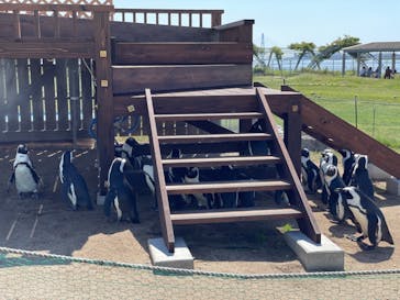 名古屋港水族館に投稿された画像（2021/10/3）