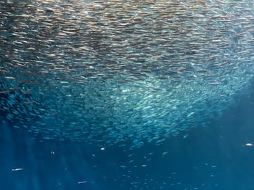 名古屋港水族館に投稿された画像（2021/10/3）