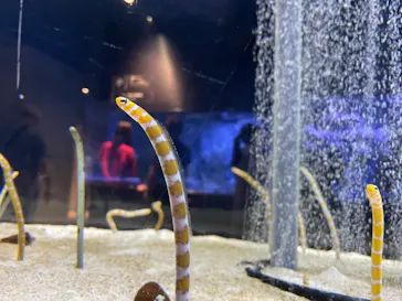 すみだ水族館に投稿された画像（2021/10/3）