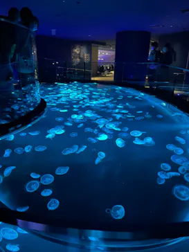 すみだ水族館に投稿された画像（2021/10/3）