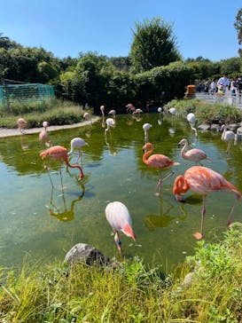 東武動物公園に投稿された画像（2021/10/3）