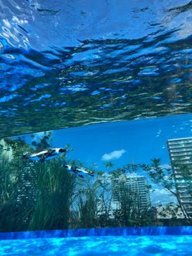 サンシャイン水族館に投稿された画像（2021/10/3）