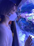 すみだ水族館に投稿された画像（2021/10/3）