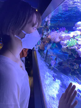 すみだ水族館に投稿された画像（2021/10/3）