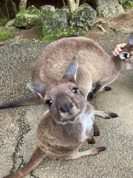 伊豆シャボテン動物公園に投稿された画像（2021/10/3）